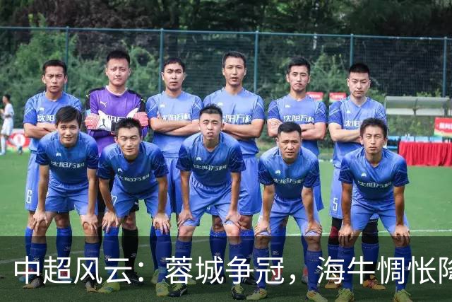 中超风云：蓉城争冠，海牛惆怅降级之路
