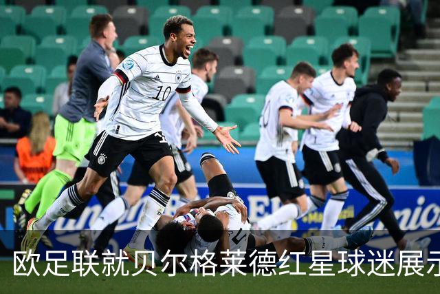 欧足联就贝尔格莱德红星球迷展示姆拉迪奇横幅启动纪律程序